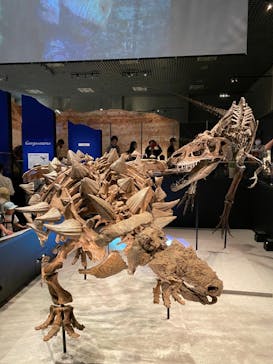 特別展「恐竜博2023」に投稿された画像（2023/5/6）