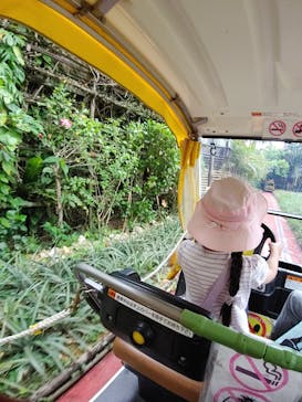 ナゴパイナップルパークに投稿された画像（2023/5/6）