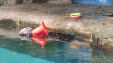 マリンワールド海の中道に投稿された画像（2023/5/6）