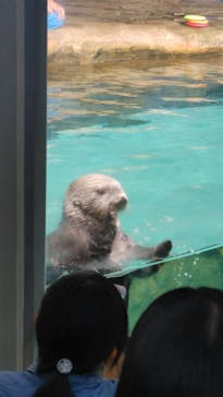 マリンワールド海の中道に投稿された画像（2023/5/6）