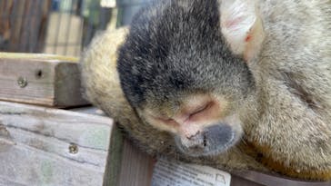 伊豆シャボテン動物公園に投稿された画像（2023/5/6）