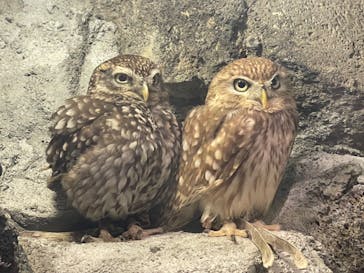 伊豆シャボテン動物公園に投稿された画像（2023/5/6）