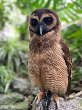 伊豆シャボテン動物公園に投稿された画像（2023/5/6）