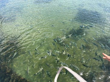 環境水族館アクアマリンふくしまに投稿された画像（2023/5/6）