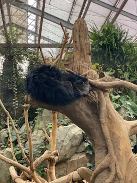 神戸どうぶつ王国に投稿された画像（2023/5/6）