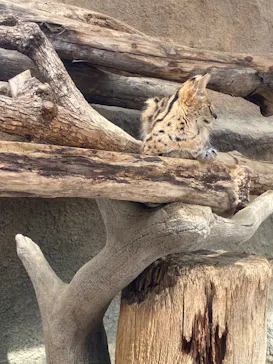 神戸どうぶつ王国に投稿された画像（2023/5/6）