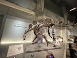 特別展「恐竜博2023」に投稿された画像（2023/5/6）