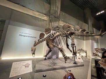 特別展「恐竜博2023」に投稿された画像（2023/5/6）