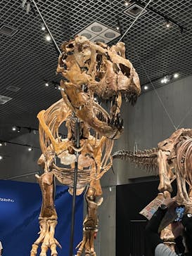 特別展「恐竜博2023」に投稿された画像（2023/5/6）