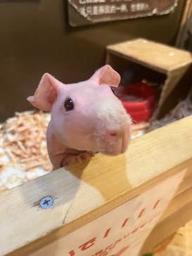 伊豆シャボテン動物公園に投稿された画像（2023/5/6）