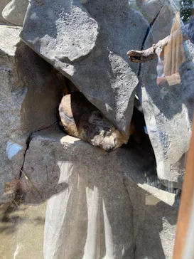 神戸どうぶつ王国に投稿された画像（2023/5/6）