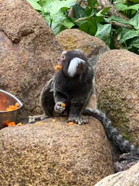 神戸どうぶつ王国に投稿された画像（2023/5/6）