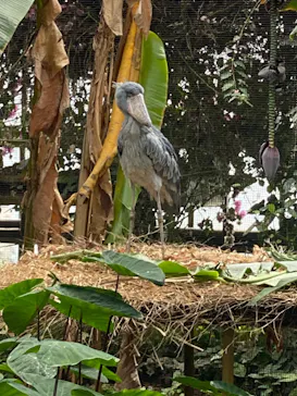 神戸どうぶつ王国に投稿された画像（2023/5/6）