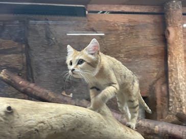 那須どうぶつ王国に投稿された画像（2023/5/6）