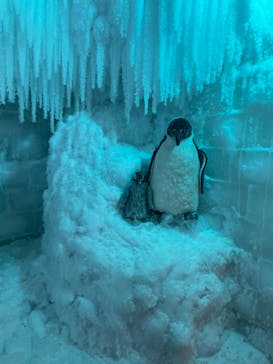 渋川スカイランドパークに投稿された画像（2023/5/6）