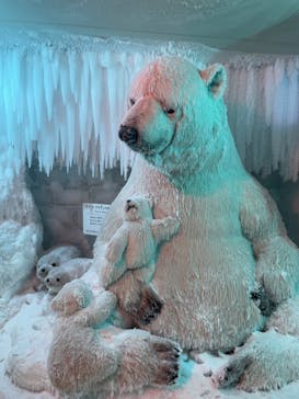 渋川スカイランドパークに投稿された画像（2023/5/6）