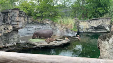 天王寺動物園に投稿された画像（2023/5/6）