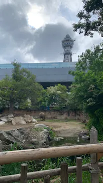 天王寺動物園に投稿された画像（2023/5/6）