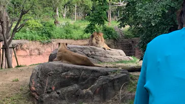 天王寺動物園に投稿された画像（2023/5/6）