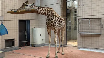 天王寺動物園に投稿された画像（2023/5/6）