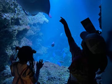 京都水族館に投稿された画像（2023/5/6）