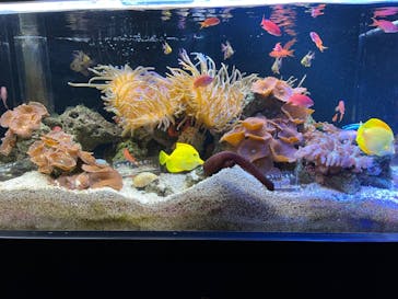 京都水族館に投稿された画像（2023/5/6）