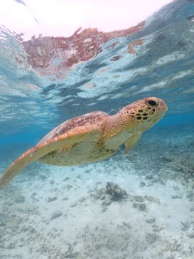 nico 宮古島に投稿された画像（2023/5/6）