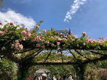 横浜イングリッシュガーデンに投稿された画像（2023/5/6）