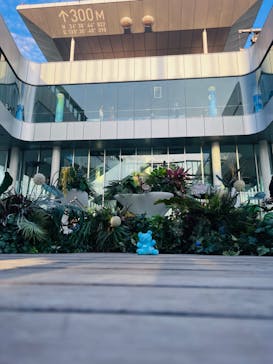 ハルカス300(展望台)に投稿された画像（2023/5/6）