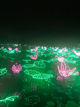 美らヤシパークオキナワ・東南植物楽園に投稿された画像（2023/5/6）