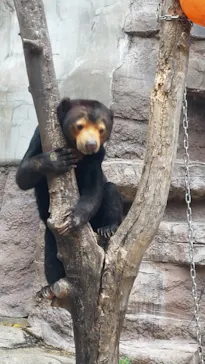 天王寺動物園に投稿された画像（2023/5/6）