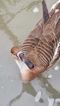 天王寺動物園に投稿された画像（2023/5/6）