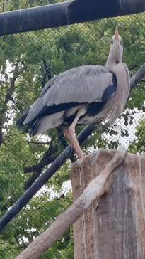 天王寺動物園に投稿された画像（2023/5/6）