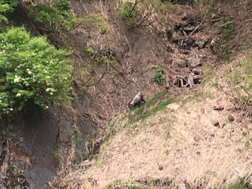清津峡渓谷トンネルに投稿された画像（2023/5/6）