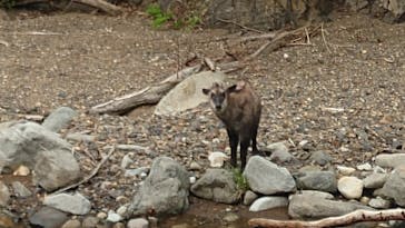 清津峡渓谷トンネルに投稿された画像（2023/5/6）