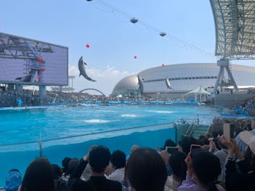 名古屋港水族館に投稿された画像（2023/5/6）