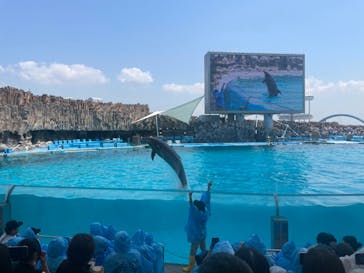 名古屋港水族館に投稿された画像（2023/5/6）