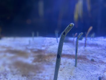 名古屋港水族館に投稿された画像（2023/5/6）