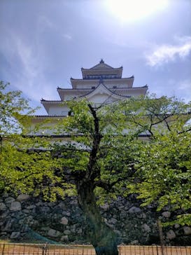 鶴ヶ城に投稿された画像（2023/5/6）