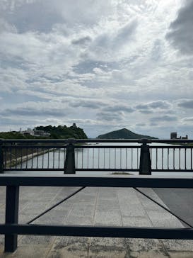 日本モンキーパークに投稿された画像（2023/5/6）