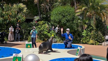 サンシャイン水族館に投稿された画像（2023/5/6）