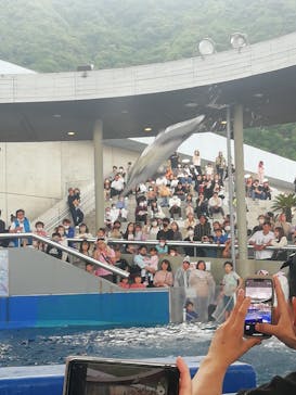 大分マリーンパレス水族館 「うみたまご」に投稿された画像（2023/5/6）
