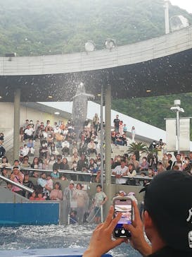 大分マリーンパレス水族館 「うみたまご」に投稿された画像（2023/5/6）