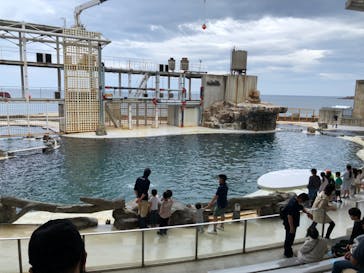 城崎マリンワールドに投稿された画像（2023/5/6）