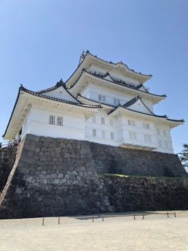 小田原城に投稿された画像（2023/5/6）