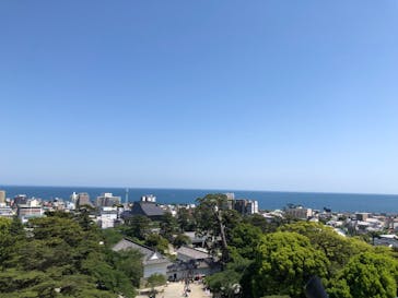 小田原城に投稿された画像（2023/5/6）