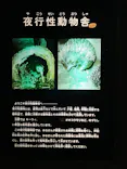天王寺動物園に投稿された画像（2023/5/7）