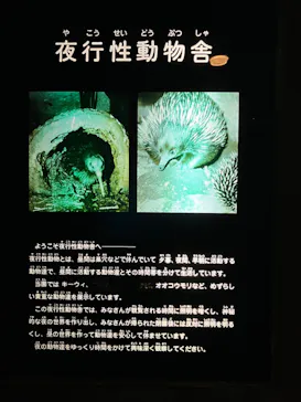 天王寺動物園に投稿された画像（2023/5/6）