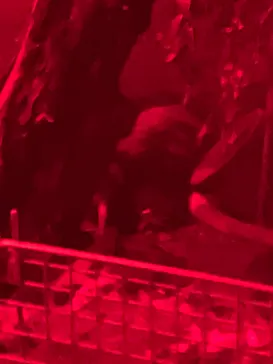 天王寺動物園に投稿された画像（2023/5/6）