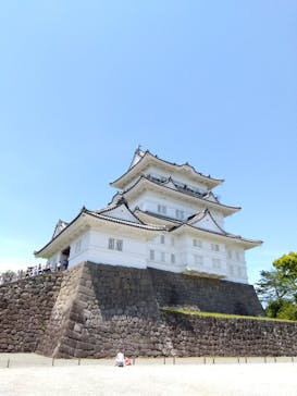 小田原城に投稿された画像（2023/5/6）